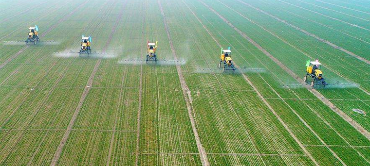 为农服务国家队-1